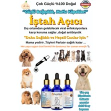 Rb Pharma Garlic Istah Açıcı  Dog