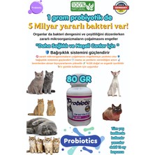 RB Pharma Organik  Probiyotik Kedileriniz  Hastalanmaya Son