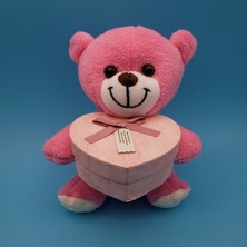 MiraLive Kutulu Pembe Ayıcık