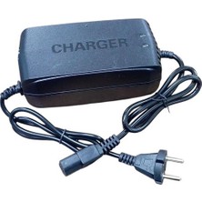 Motobisavm ŞARJ CİHAZI 48V 24AH - Devre Kesicili - 4 Akülü Araç İçin  - ORTEC