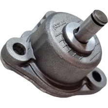 Tvs Apache Rtr 200 Yağ Pompası N9082160