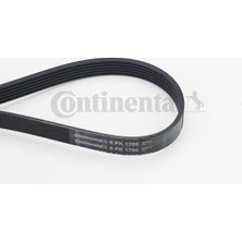 Contitech Zengemtx Kanalli Kayiş Bravo-Brava-Fiesta-Transit-Mercedes-Lgn Ii-Corolla