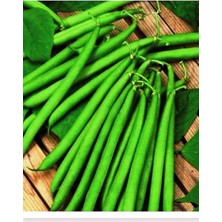 Belirtilmemiş Mitofarm Elif Oturak Ince Fasulye Tohumu 1000 Gr.