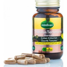 Mindivan Çoban Çökerten (Tribulus) ve Üzerlik Tohumu Ekstresi - 500 Mg 60 Kapsül