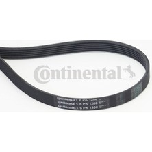 Contitech Zengemtx Kanalli Kayiş Clio Ii-Iii-Fluence-Kng-Mgn Ii-Iii-Scenic Iii-Symbol 1.5 Dci K9K