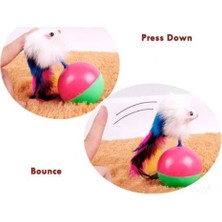 MiraLive Kedi Fare Hacıyatmaz Oyunu