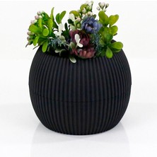 MiraLive Mercan Saksı 2 Numara 0,35 Litre Su Hazneli Dekoratif Kaktüs Sukulent Saksı 11,8x9,2 cm