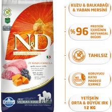 N&D Pumpkin Tahılsız Bal Kabaklı, Kuzu Etli Ve Yaban Mersinli Orta Ve Büyük Irk Yetişkin Köpek Maması 12 Kg