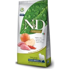 N&D Köpek Maması Yaban Domuzu Elmalı Tahılsız Med. Maxi 2,5 kg