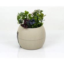 MiraLive Mercan Saksı 11.5X12 cm 0.70 Lt