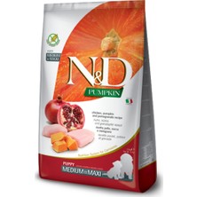 N&D Balkabaklı Tavuklu Narlı  Medium Maxi Yavru Köpek Maması 2.5 Kg