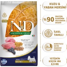 N&D Kuzu Etli Yaban Mersini Düşük Tahıllı Yetişkin Mini Irk 2;5 Kg Köpek Maması