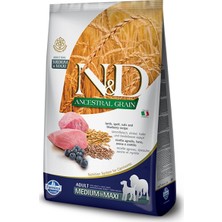 N&D Düşük Tahıllı Kuzulu ve Yaban Mersinli Medium Maxi Köpek Maması 2;5 kg