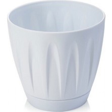 MiraLive 1 No Papatya Saksı 0.7 Lt. ROYALEKS-P001