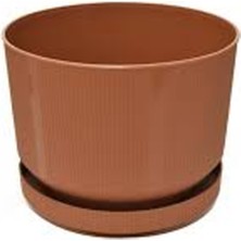 MiraLive 3no Saksı 6lt ROYALEKS-S283