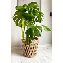 Cooll Vogue Hasır Saksı Tasarım Dekoratif Balkon Bahçe Mutfak Dekorasyonu Modeli