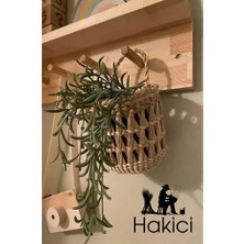 Hakici Çok Amaçlı Sepet / Askı Sepeti / Dekoratif Hasır Sepet / Duvar Sepeti / Saksı Sepet / 10x10cm