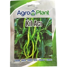 Agroplant Kıl Acı Biber Tohumu 25gr