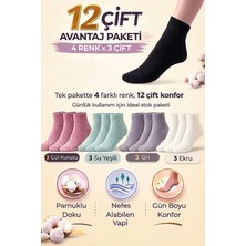 Bravie Çizgili Orta Konç Pamuklu Çorap 12'li Paket 252 Karma-4 Gül Kurusu, Su Yeşili, Gri, Ekru
