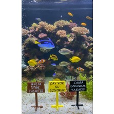 Baskıhomed Akvaryum Tabela Dekoru 3'lü Set Balık Tutmakyasak