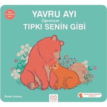 Yavru Ayı Öğreniyor Tıpkı Senin Gibi