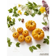 🌸 Masana Baharı Getir – Dekoratif Kabak Seti 8'li | 2 Orta + 6 Mini | Masa & Ev Dekoru Hediye