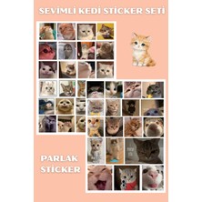 Hanelia Art Kedi Sticker Seti 42 Adet – Sevimli Kedi Çıkartmaları | Laptop, Defter, Telefon