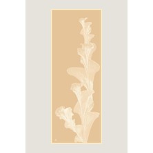 Maisa Şule Pamuk Ipek Şal 70*190 cm - Vanilya