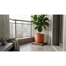 Afro Garden Saksı, Heykel, Tüp, Damacana Altlığı - 45X45 cm - Teak Ahşap Palet