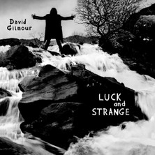 SONY Davıd Gılmour - Luck And Strange - 1 Cd( Plak Değildir, CD Dir)