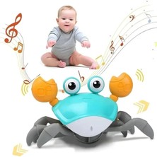 Toyigoo Ieg™ SH40381 Kut.pilli Yengeç -Zrv