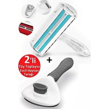 Macgon Kedi Köpek Tarağı Evcil Hayvan Fırçası Masaj Aleti Hazneli Kıl Tüy Toplayıcı Elbise Halı