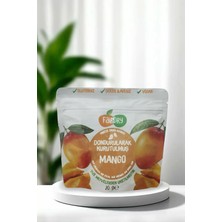 Fair Dry Mango Dilim, Freeze Dried, Dondurularak Kurutulmuş, Meyve Kurusu, Katkısız, Çıtır Meyve