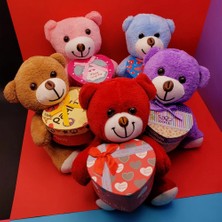 Venüs Shopping Hediyelik Kutulu Ayıcık