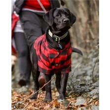Pet Army Köpek Gömleği Kırmızı-Siyah Ekose