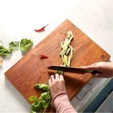 Macgon Çok Renkli Et Kemik Kütüğü 25X45 Ahşap