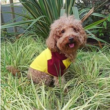 Pet Army Kapüşonlu Köpek Sweatshirt Sarı-Bordo