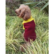 Pet Army Kapüşonlu Köpek Sweatshirt Bordo-Sarı