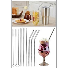 Macgon Paslanmaz Çelik Metal Pipet ve Temizleme Fırçası 6' Lı