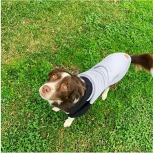 Pet Army Kapüşonlu Köpek Sweatshirt Gri-Siyah