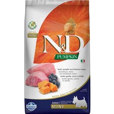 N&d Pumpkin Tahılsız Kuzu Etli Yaban Mersinli Küçük Irk Yetişkin Köpek Maması 2,5 kg