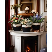 3 Adet Çok Amaçlı Sepet Saksılık