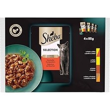 Starseven Sheba Yetişkin Etli Çeşitler 4'lü Paket Yaş Mama 340 G