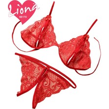 Alfa Aksesuar 03 Giyim Dantelli Büyük Beden Sütyen Takımı Beruflic