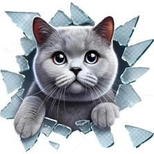 MiraLive Fulcar British Araç Stickerı