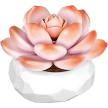 Venüs Shopping P655058 Panlos Monroe Sukulent Model 86 Parça Block Oyuncak