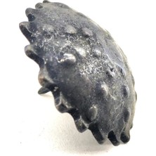 Venüs Shopping Antika Tarz Dekoratif Pirinç Yıldız Kabara - 42 Mm, Oksit