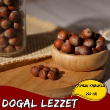Venüs Shopping Mey Ithalat® Fındık Kabuklu 250 gr