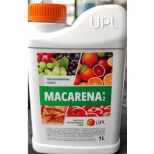 Belirtilmemiş Macarena2