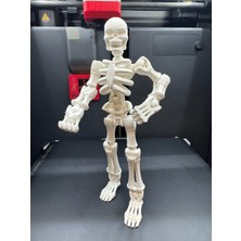 Teknoartshop Eklemli Iskelet - Fen Bilgisi Eğitici Kit Card